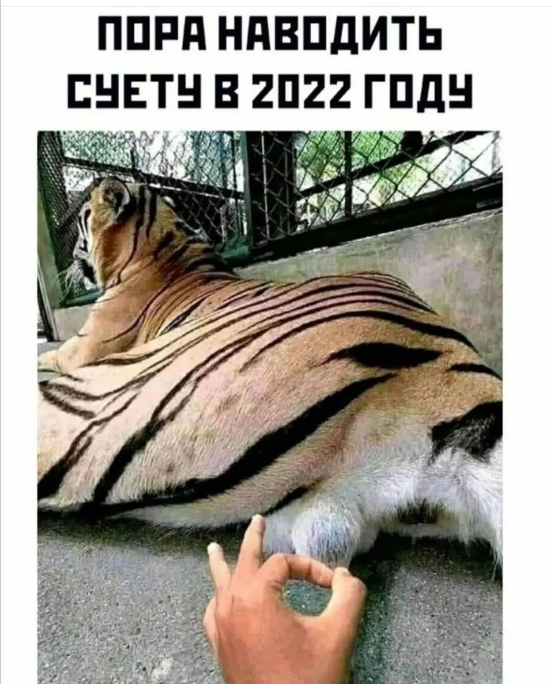 ППРП НПВПДИТЬ