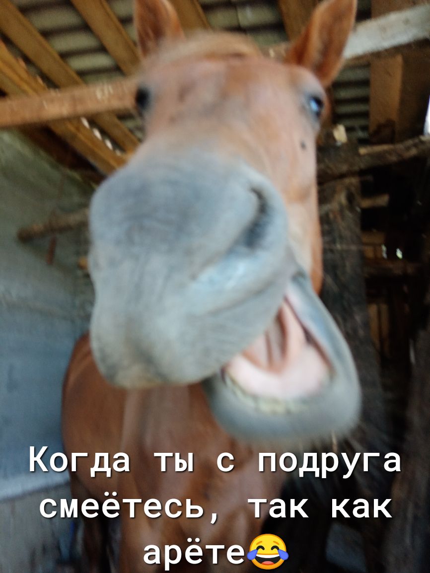А гда ты сЁодруга дгсмеётесь_ ак как ёрётеё