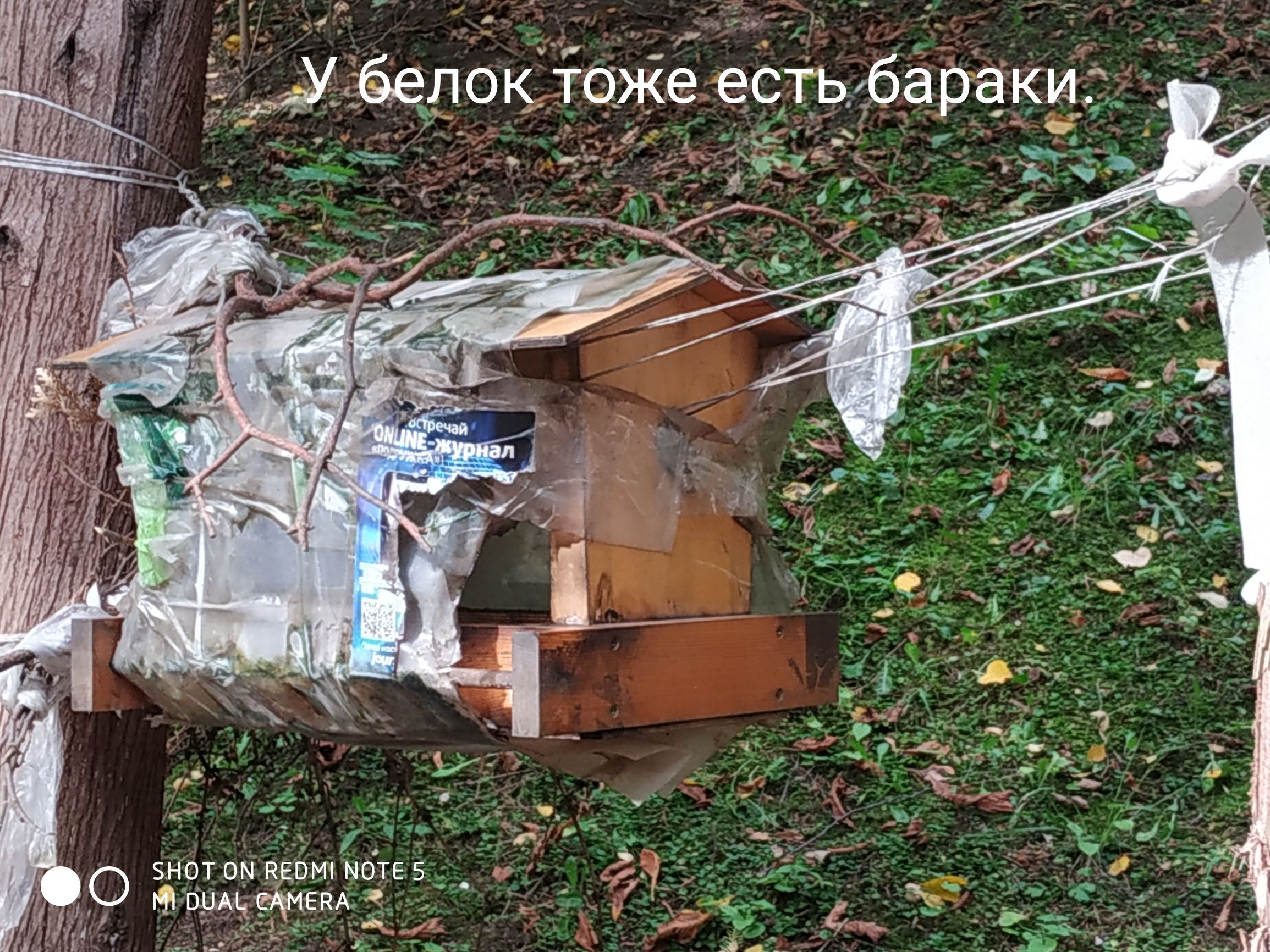 У _____э4_ д_ АУ белок ТоЖе е_сТь бараки О НОТОЧВЕОМ1МОТЕ5_М _ _ Ювщдеікмемд _ к А д _ _дъ__ _ И Ч _ а_ч 7 Ё ч_г_ кг т 23 6