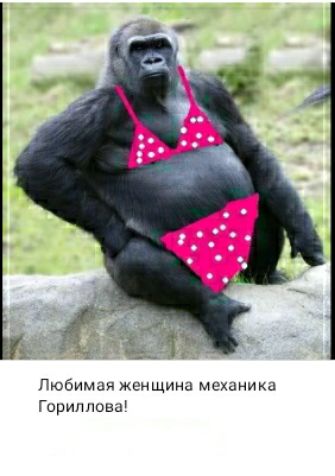 Любимая женщипнд механика горутоны
