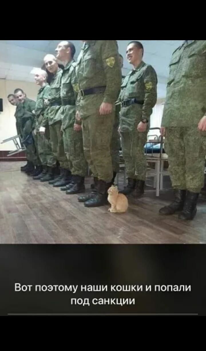 ВОТ ПОЭТОМУ наши КОШКИ И попали под санкции