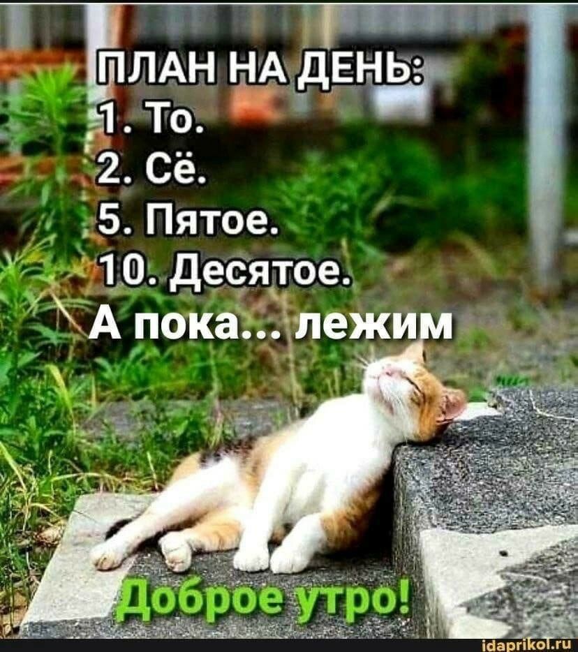 ПЛАН НА дЕ_Н В _1 То 2 Сё 5 Пятое 10 десятое Апока пежи