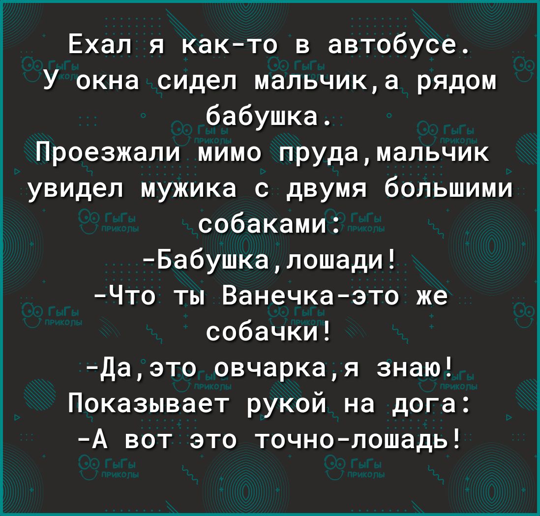 Ехал я както в автобусе У окна сидел мапьчика рядом бабушка Проезжапи мимо прудамапьчик увидел мужика с двумя большими собаками Бабушкапошади Что ты Ванечкаэто же собачки Даэто овчаркая знаю Показывает рукой на дога А вот это точнолошадь