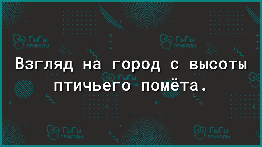Взгляд на город с высоты птичьего помёта