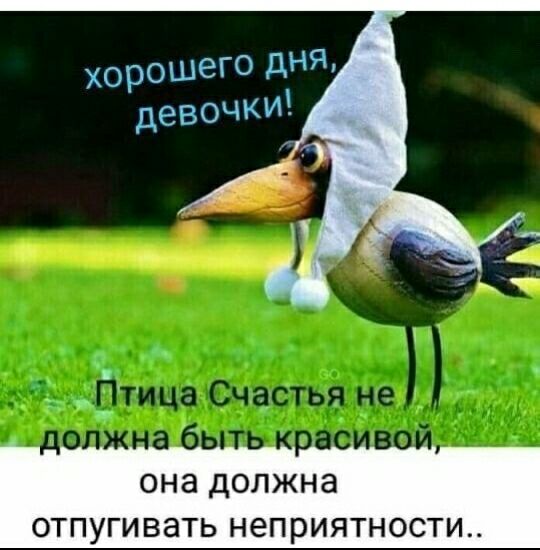 она должна ОТПУГИВЭТЬ НЕПРИЯТНОСТИ