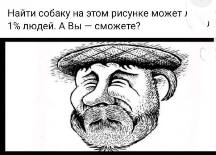 Найти собаку на этом рисунке может 1 людей А Вы сможете 1
