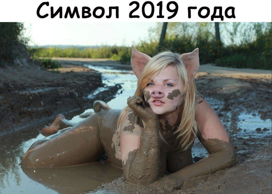 Символ 2019 года д _