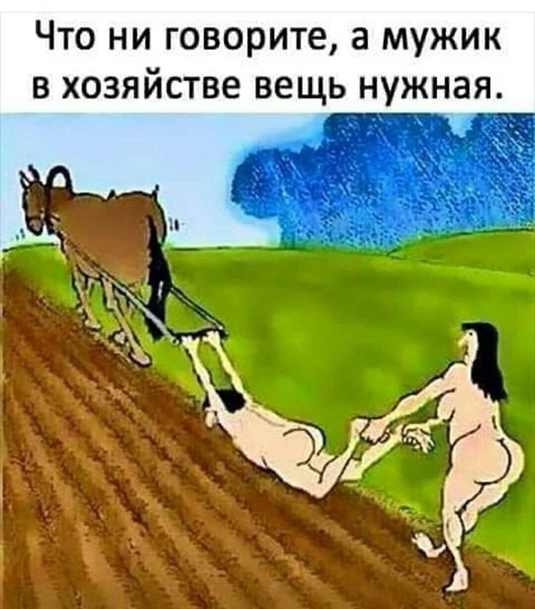 Что ни говорите а мужик в хозяйстве вещь нужная