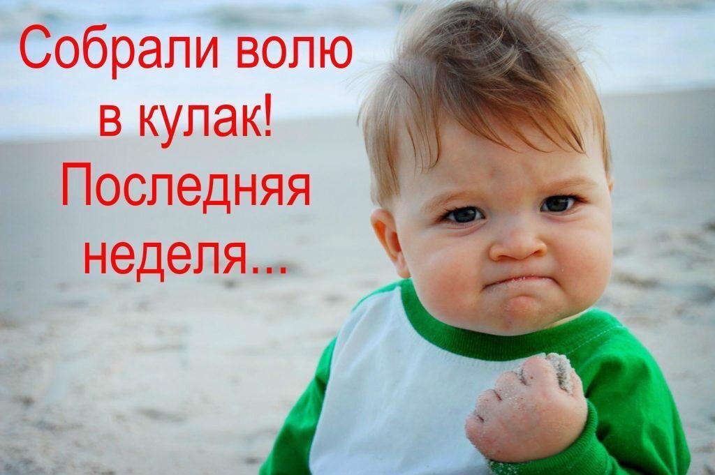 Собрали волю в кулак Последняя неделя