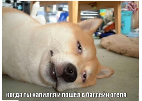 кшда ТЫ ПВПИПБП И ППШЕП В ЙПБВВИН ТЕПЯ