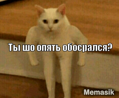 Ты шо опять обоспапся Метазік