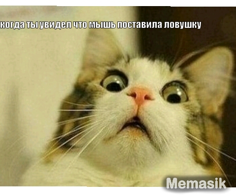 ПШЧШЦ1 П ЕШВИПИ ППВПШЩ