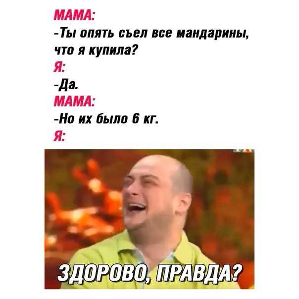 ЫЫЫ Ты апять съел все мандарины что я купила 53 да ВАША На их была 6 кг п
