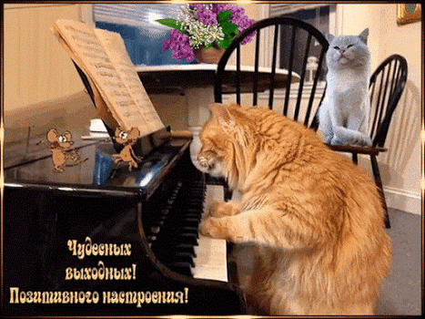Чабаны вихддпьв Пюипшшш пшетршщя