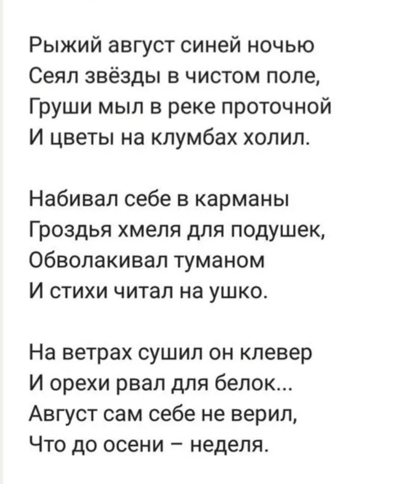 Рыжий стихи. Рыжий август синей ночью сеял звёзды в чистом. Рыжий август синей ночью. Стих рыжий август с синей ночью. Рыжий август синей ночью сеял звёзды в чистом Автор.