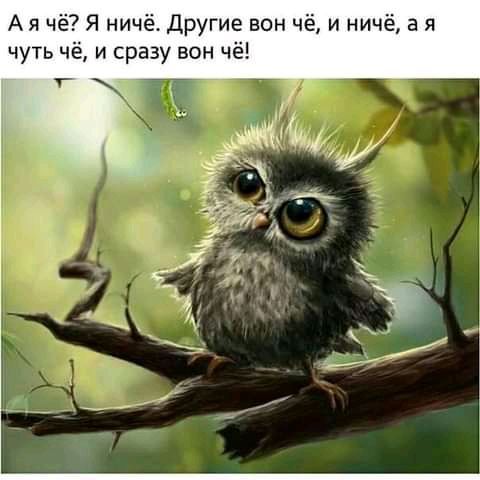 Ая чё Я ничё Другие вон чё и ничё а я чуть чё и сразу вон чё