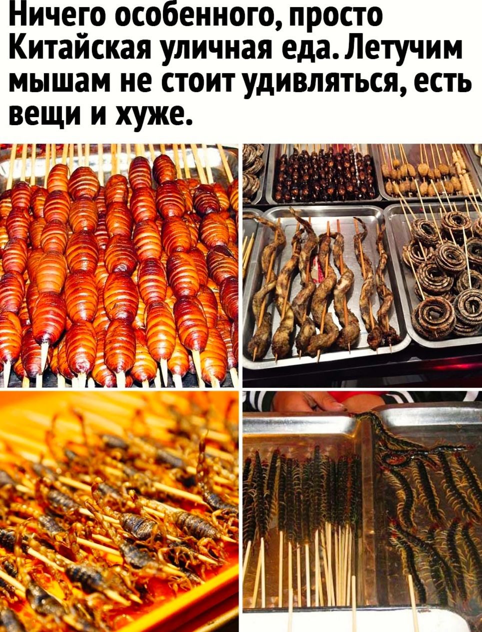 енного просто Китайская уличная едаЛетучим мышам не стоит удивляться есть вещи и хуже
