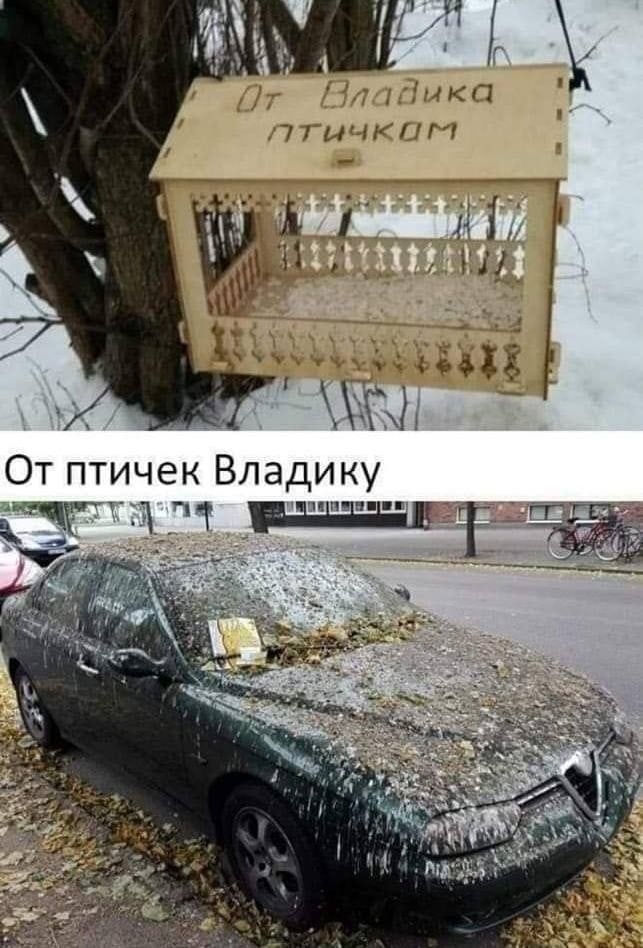 Ж _ г нкп 11 ЫЧіГУ От птичек Владику _ гит цпан пп Т ТЧ