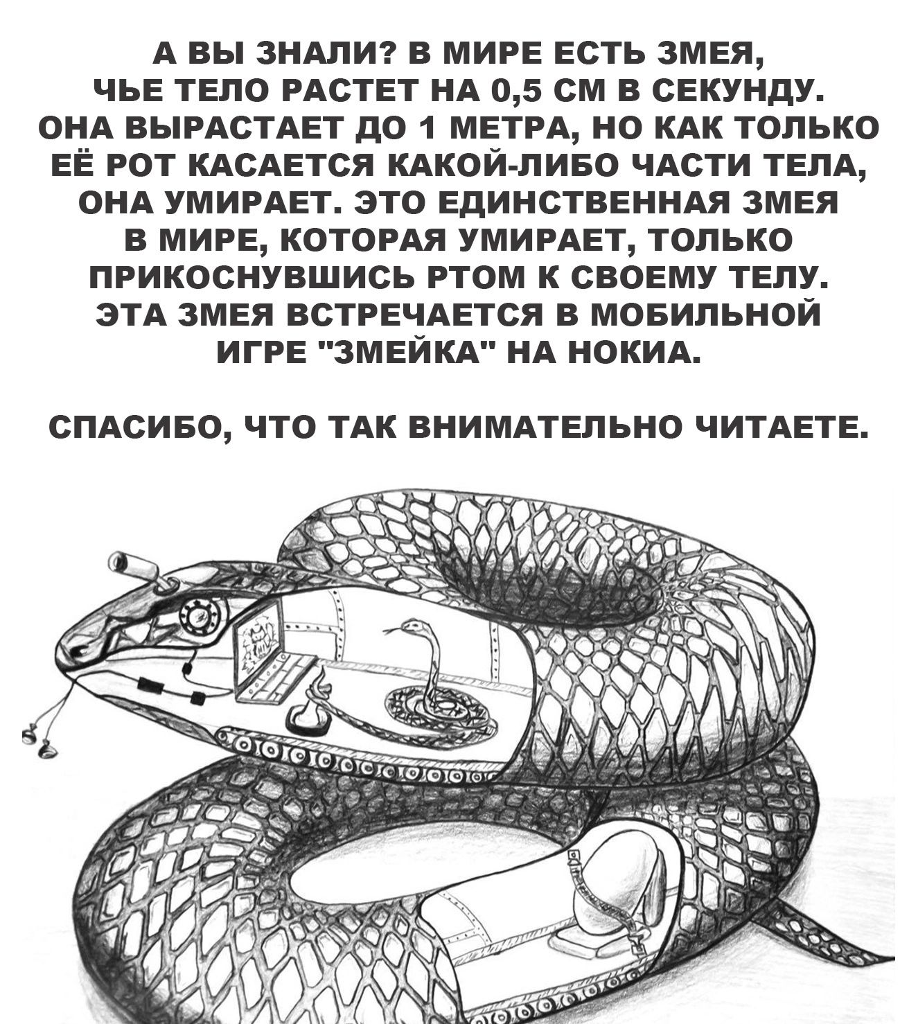 А вы ЗНАПИ в МИРЕ Есть 3МЕя ЧЬЕ ТЕло РАСТЕТ НА 05 см в СЕКУНдУ ОНА  ВЫРАСТАЕТ дО 1 МЕТРА НО КАК только ЕЁ РОТ КАСАЕТСЯ КАКОЙ ЛИБО ЧАСТИ ТЕЛА  ОНА УМИРАЕТ