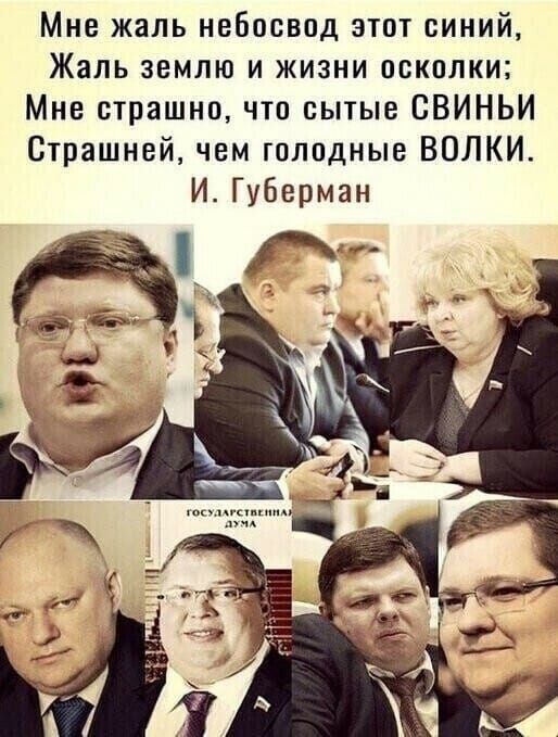 Мне жаль небосвод этот синий Жаль землю и жизни осколки Мне страшно что сытые БВИНЬИ Страшней чем голодные ВОЛКИ И Губерман