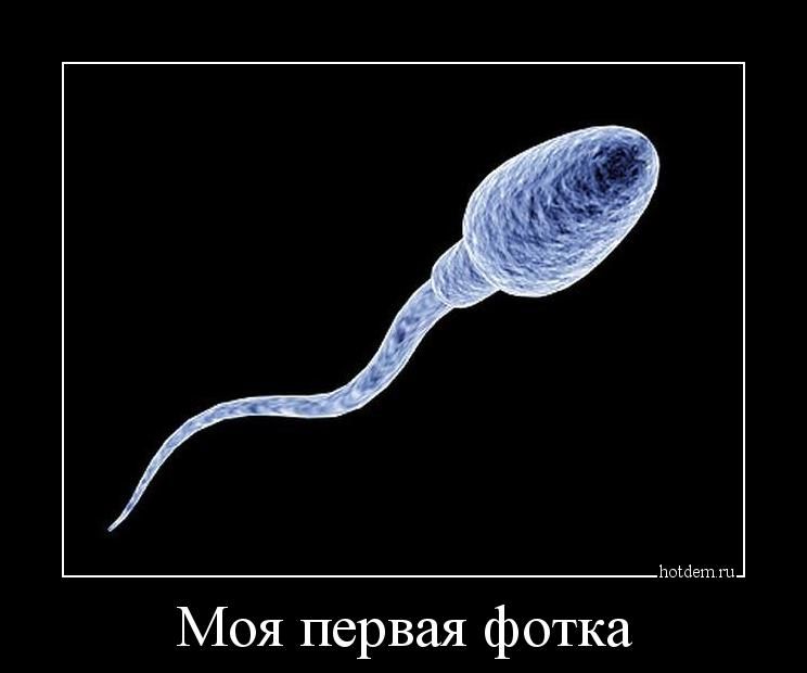 ЬоШет гц Моя первая фотка