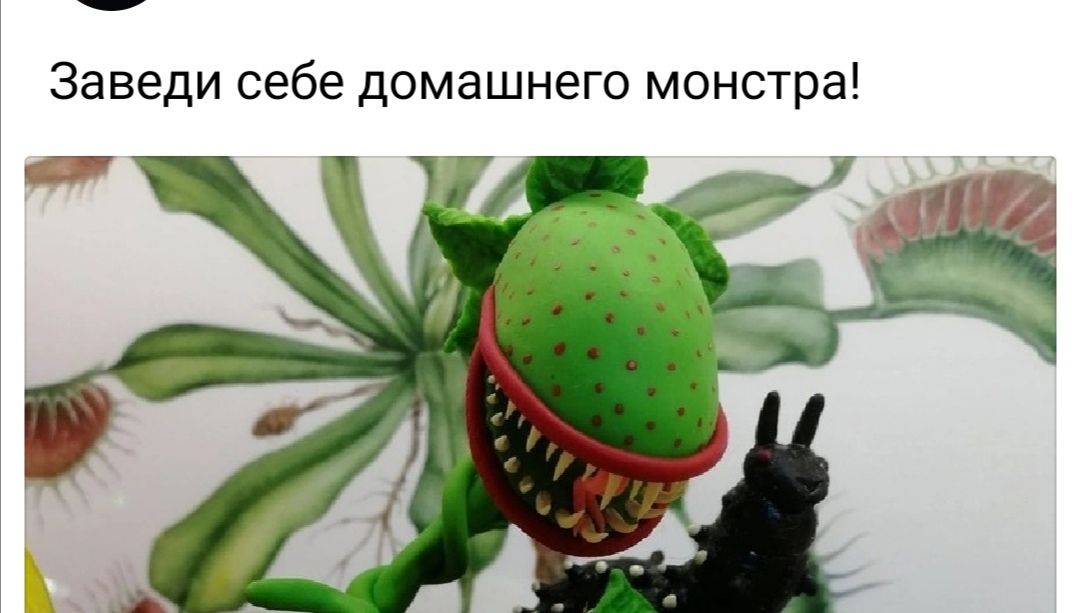Заведи себе домашнего монстра
