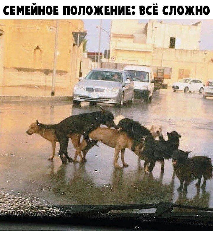 СЕМЕЙНОЕ ПОЛОЖЕНИЕ ВСЕ СЛОЖНО ЁЁ ч