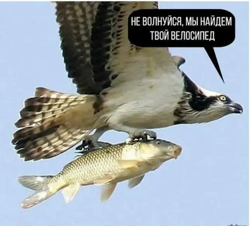 НЕ ВППНУЙСЯ МЫ НАЙЦЕМ ТВОЙ ВЕЛОСИПЕД