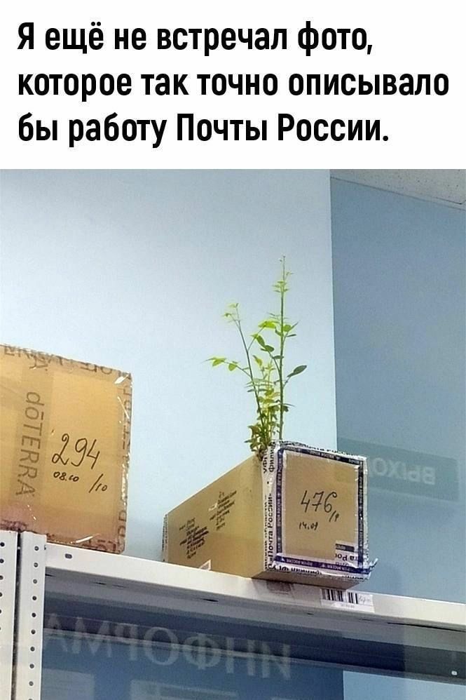 Я ещё не встречал фото которое так точно описывало бы работу Почты России