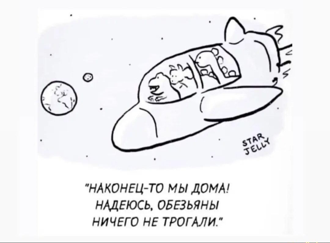 НАКОНЕЦТО МЫ ДОМА НАДЕЮСЬ ОБЕЗЬЯНЫ НИЧЕГО НЕ ТРОГАЛИ