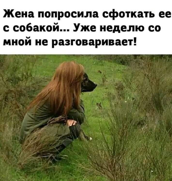 Жена попросила сфоткать ее с собакой Уже неделю со мной не разговаривает