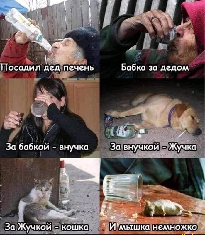 ЁЁ Бабки зп дедом Посадил дед печень г 4