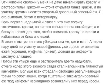 зттпшиешмщуиеияюшшлижршьщи вытирает Притху стоит открыт шп крит пп учит у питии штл утрата поютиый щений еж я его впиши шин в трип ржу вршмтлишиюйисквидчтоежупщгу токсичность краш си пого только слеш понйоун Они у он пеш для юм чтбы намазать крону иа пишим и избавиться от мох клещ витиеявыпустилттупмднпиже шиыял Ашера пару поучает шаровашюсь утес десяток ема тише иуоим прием доводя др интим шестую