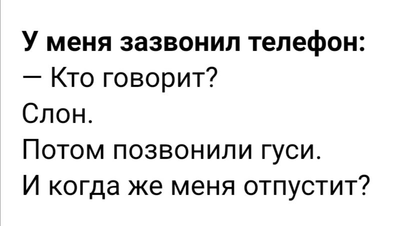 У меня зазвонил телефон Кто говорит Слон Потом позвонили гуси И когда же меня отпустит