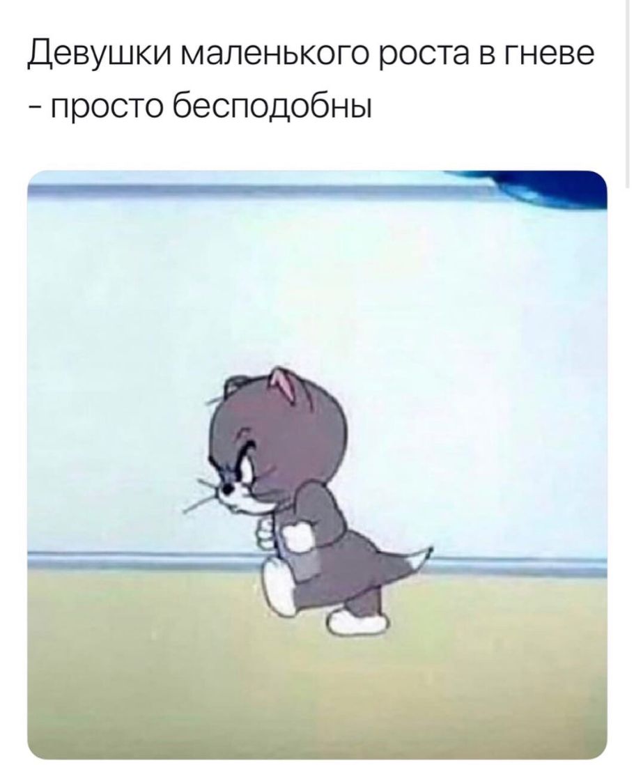 Девушки маленького роста в гневе просто бесподобны ц