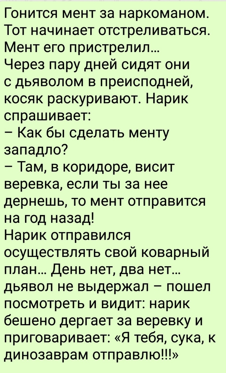Гонится мент за наркоманом Тот начинает отстреливаться Мент его пристрелил Через пару дней сидят они с дьяволом в преисподней косяк раскуривают Нарик спрашивает Как бы сделать менту западло Там в коридоре висит веревка если ты за нее дернешь то мент отправится на год назад Нарик отправился осуществлять свой коварный план День нет два нет дьявол не выдержал пошел посмотреть и видит нарик бешено дер