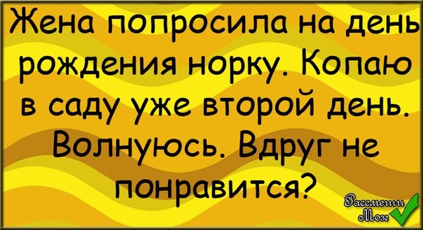 Модов прошла но ден РОЖдения норку Копою в саду уже второй деньЁ Волнуюсь Вдруг не понравится