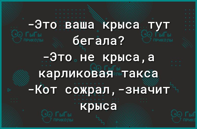 Это ваша крыса тут бегала Это не крысаа карликовая такса Кот сожрал значит крыса