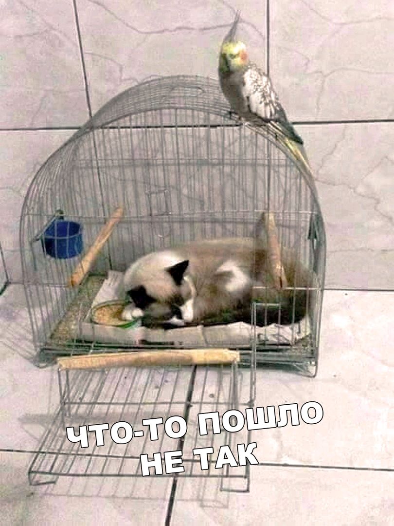 _ 3444111111511 Ё