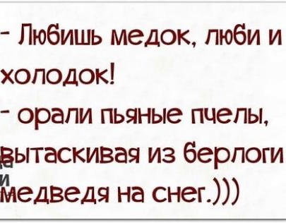 Любишь медок пюби и холодок орали пьяные пчелы вьггаскивая из берлоги медведя на снег