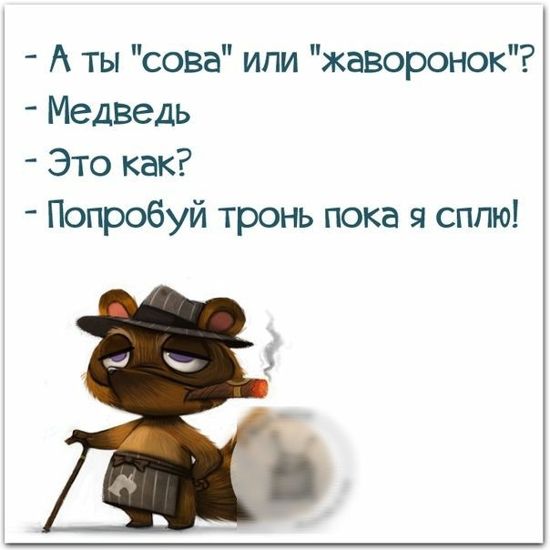 А ты сова или жаворонок Медведь Это как Попробуй тронь пока я сплю
