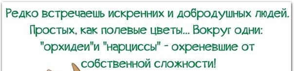 Редко встречаешь искренних и добродушных людей Простых как полевые цветы Вокруг одни орхидеии нарциссы охреневшие от собственной сложности