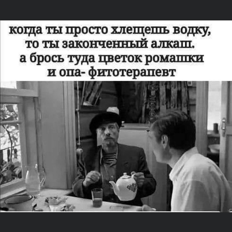 когда ты просто хлещешь водку то ты законченный ашсаш брось туда цветок ромашси и опа фитотерапевт