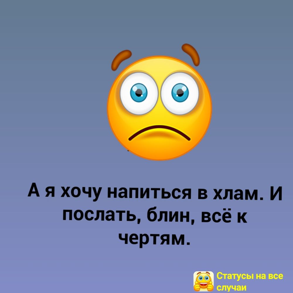 А я хочу напиться в хлам И послать блин всё к чертям ежи