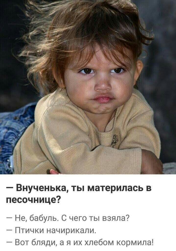 Внученька ты материлась в песочнице Не бабуль С чего ты взяла Птички начирикали Вот бляди а я их хлебом кормила