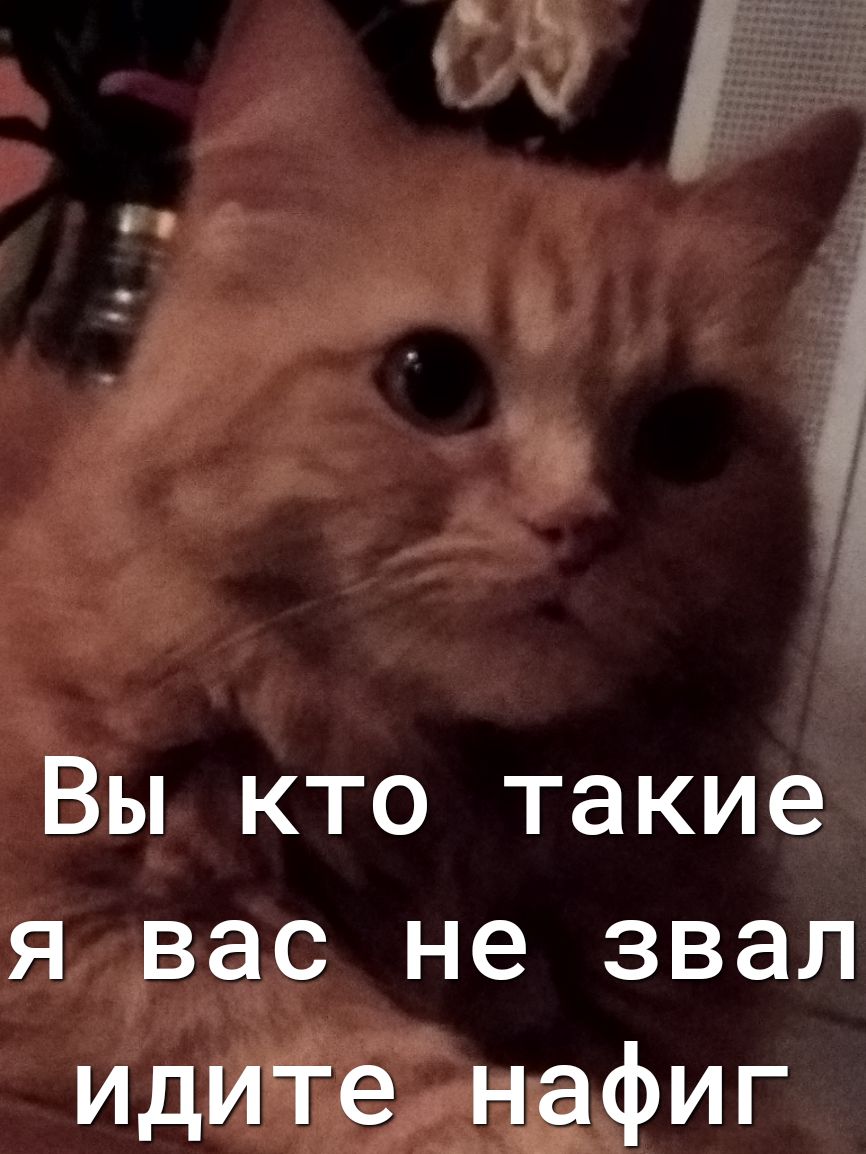 Вы кто такие я вас не звал идите нафиг