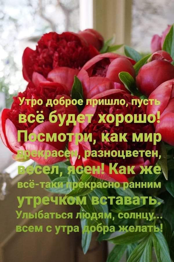 д Ёіищпгэ тусы