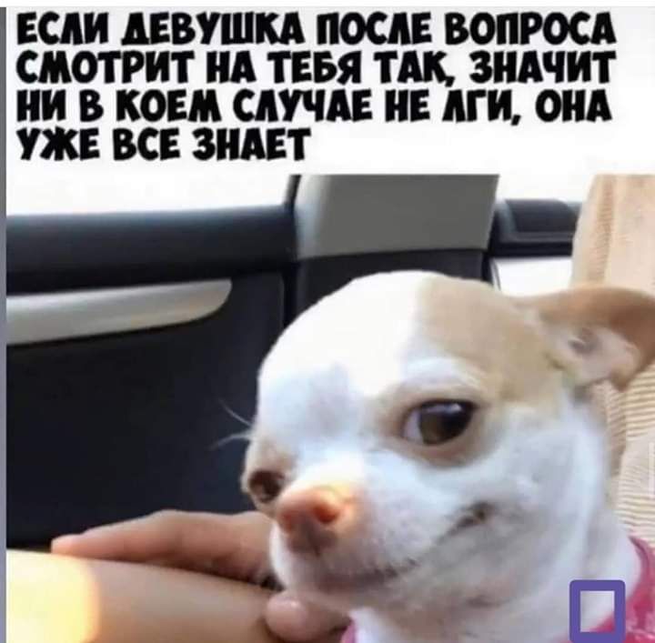 ЕСАИ АЕВУШКА ПОСАЕ ВОПРОСА СМОТРИТ А ТЕБЯ ТАК ЗНАЧИТ И В КОЕМ САУЧАЕ НЕ АГП ОНА УЖЕ ВСЕ ЗНАЕТ