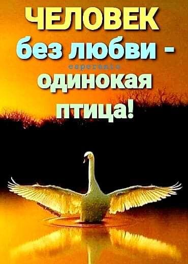 ЧЕЛОВЕК без любви