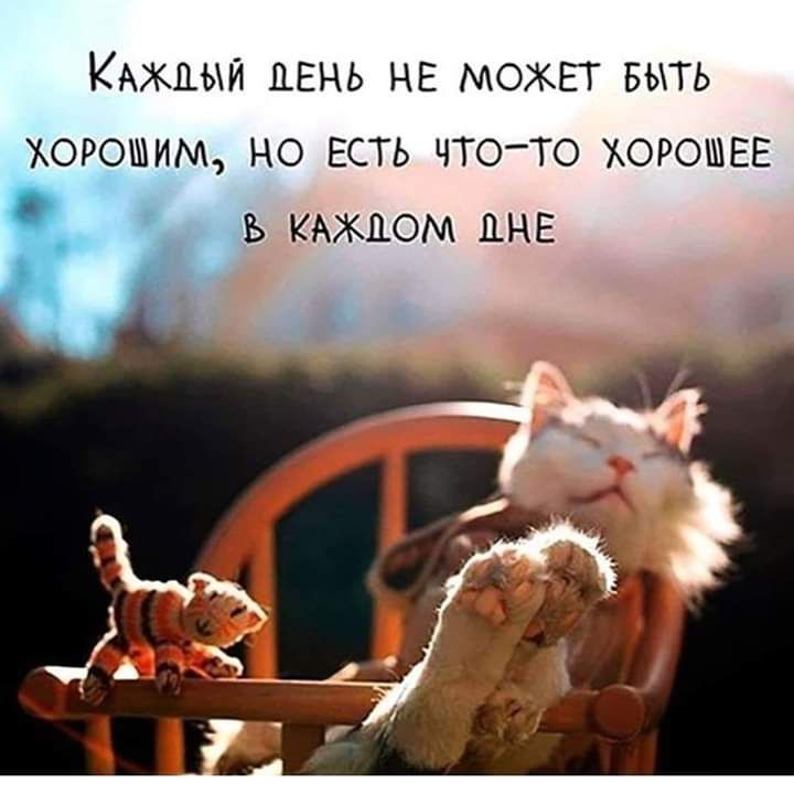 КАЖДЫЙ ДЕНЬ не МОЖЕТ Быть хорошим но ЕСТЬ чтото ХОРОШЕЕ КАЖДОМ пне